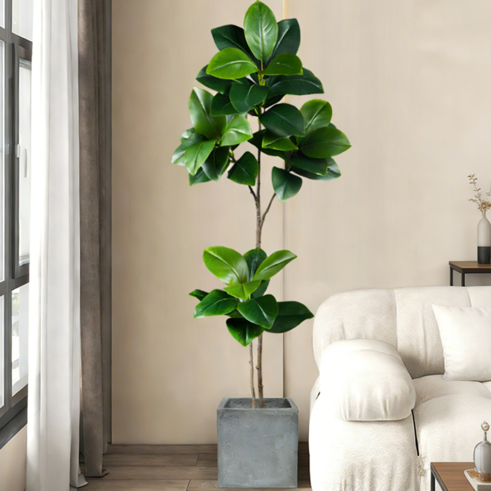 view